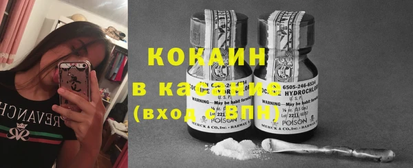 PSILOCYBIN Инта