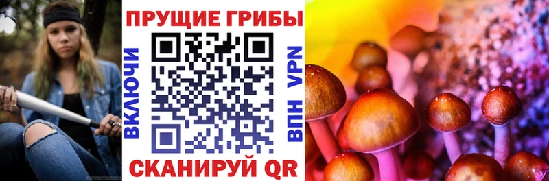Псилоцибиновые грибы прущие грибы  KRAKEN вход  Кашин  где можно купить наркотик 